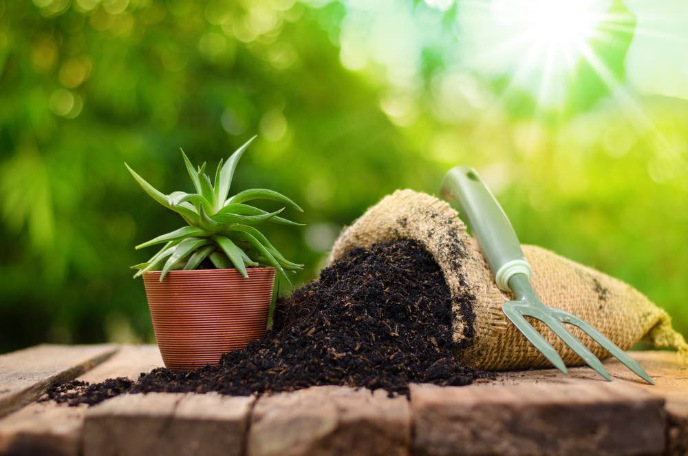Organic Fertilizers