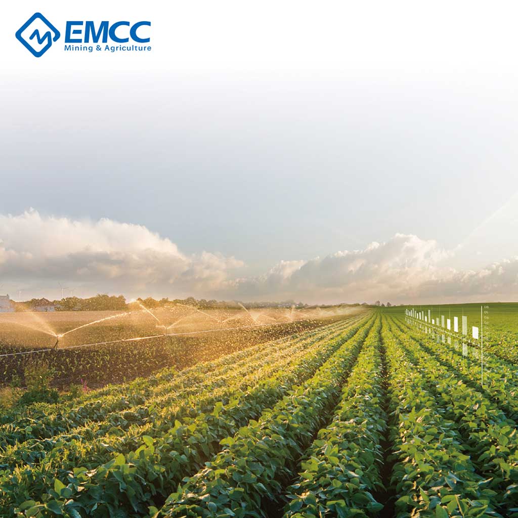 Intelligent Irrigation
