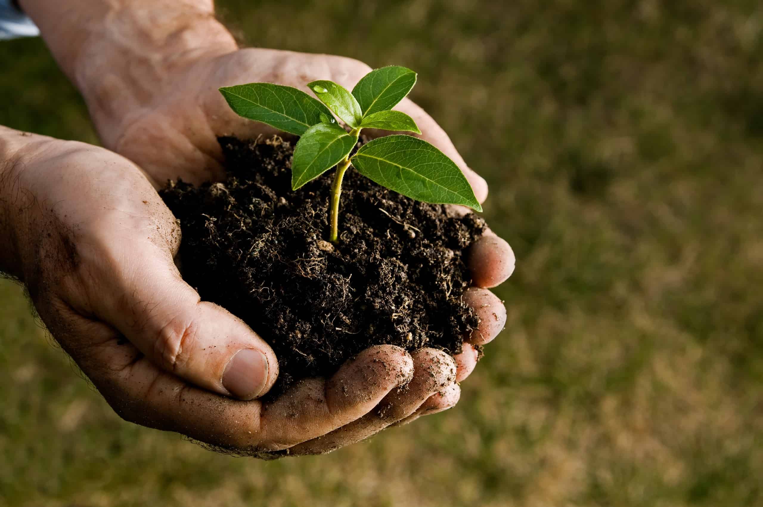 Soil conditioners