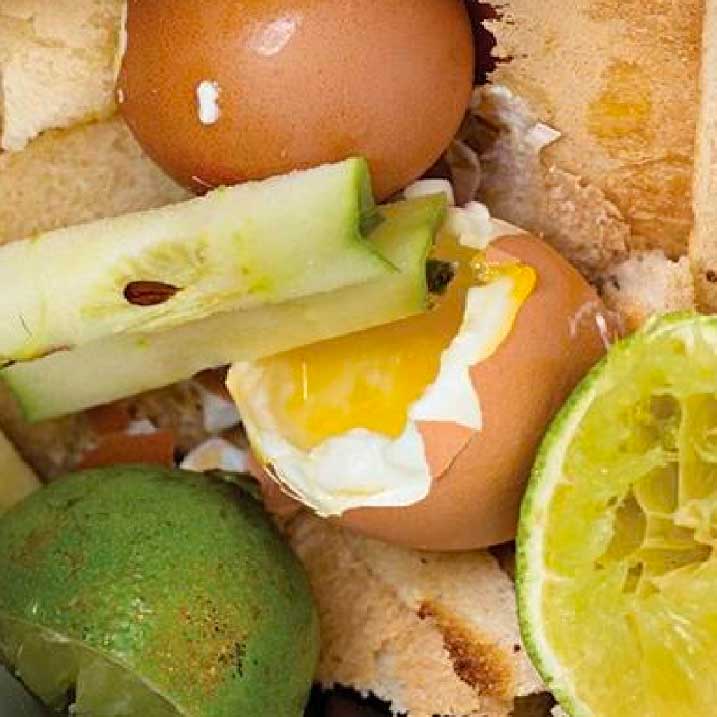 Kitchen waste